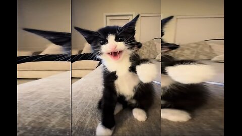No one won the battle, but we won the cutest video ever.