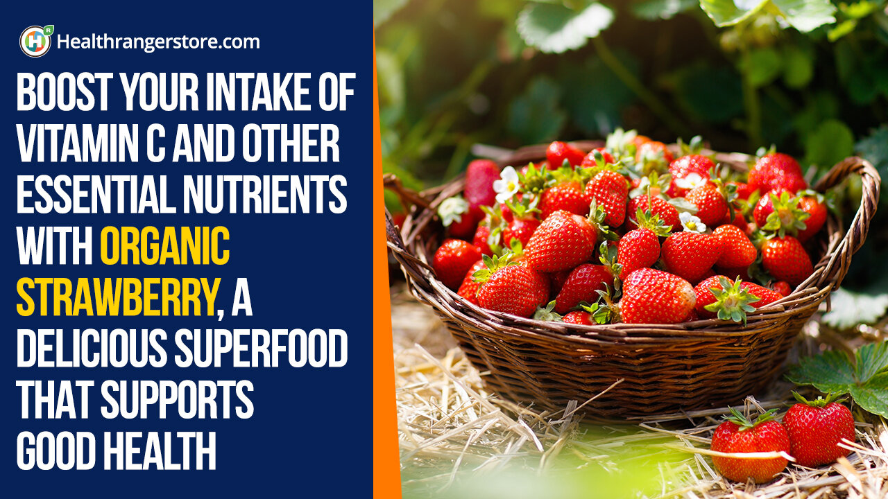 Boost your intake of vitamin C and other essential nutrients with Organic Strawberry...