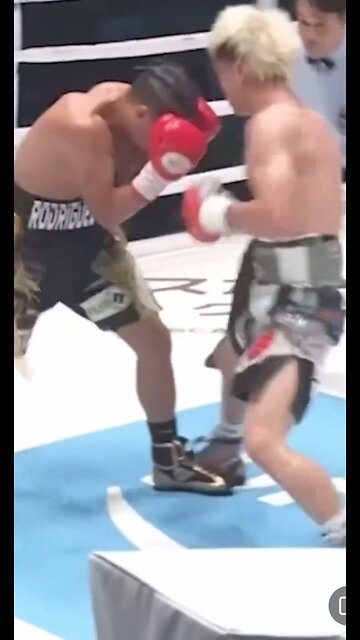 Best Boxing Knockout 🥊