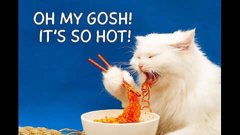 Spicy Noodles Challenge: Screaming Fluffy Cat