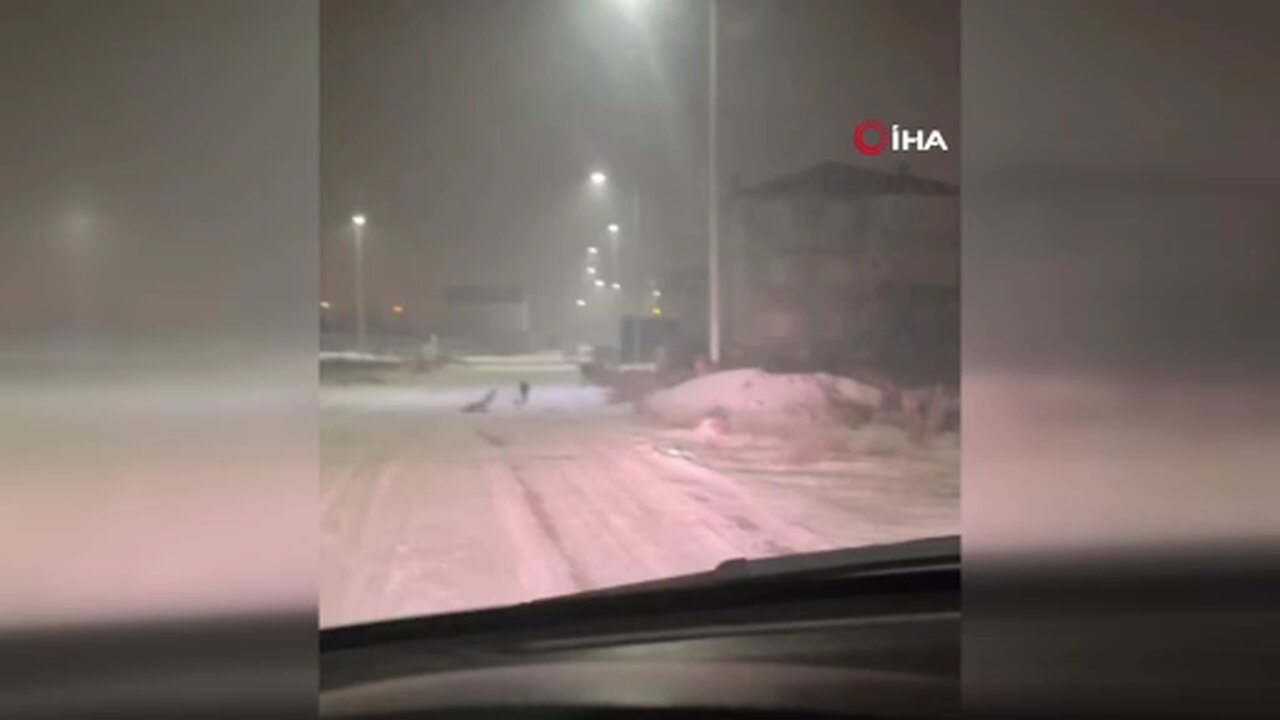 Iğdır'da kurtlar yerleşim yerlerine indi