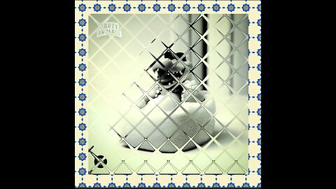 Croc In The House ( Party Animals )