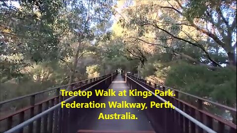 Treetop Walk at Kings Park. Federation Walkway, Perth, Australia.