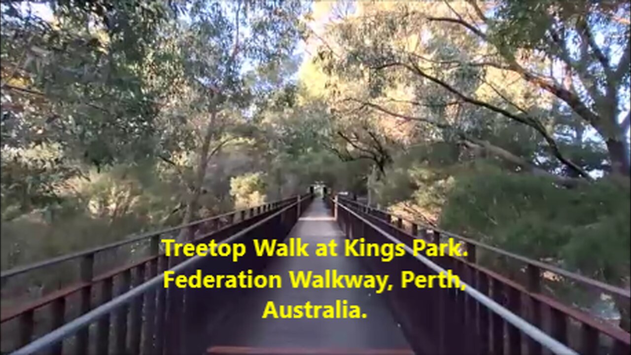 Treetop Walk at Kings Park. Federation Walkway, Perth, Australia.