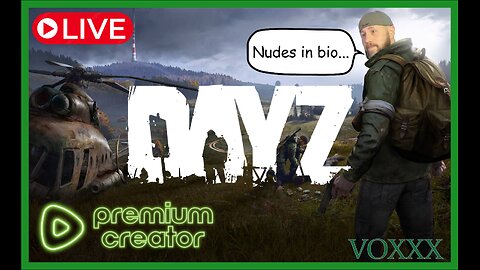 DayZ and Other Debaucheries