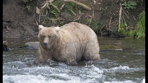 The Press Laments the Loss of NPS Jobs, but the Facts Chase Their Claims Into the Wilderness