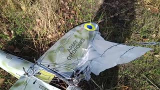 “They shot down a Ukrainian intelligence agent.”