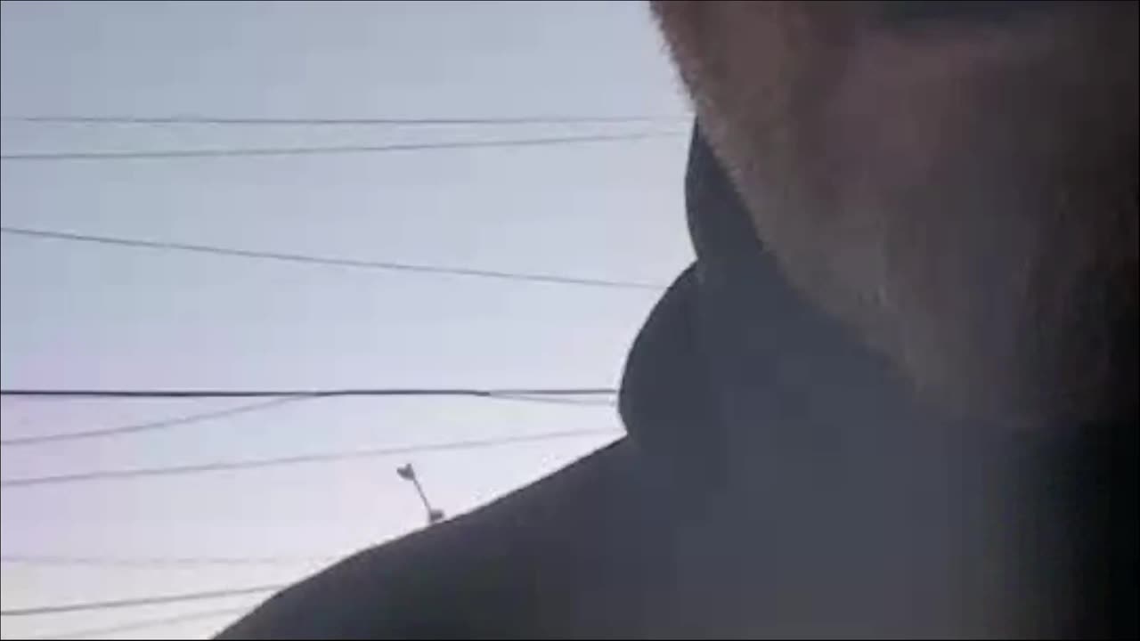 dirt does not disappoint Burt