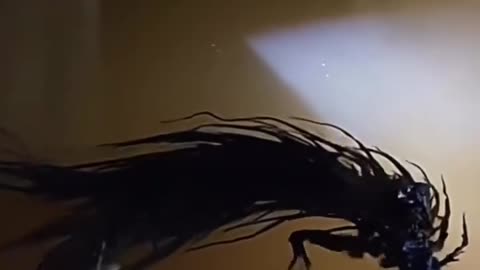 🤯👽 Mysterious Object Spotted! Is This Real? | TheTruthAbove