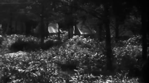 [FORD CAMPING TRIP] - [FORD CAMPING TRIP] - fc-fc-4373