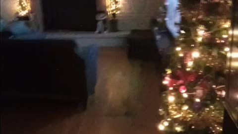 Christmas is around the corner 2024