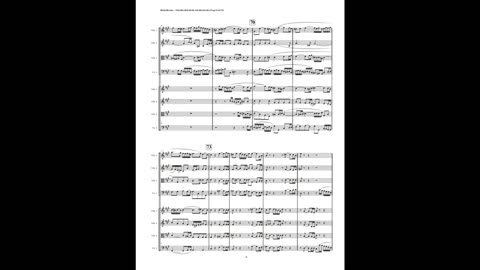 J.S. Bach – Motet: “Fürchte dich nicht” (Double String Ensemble)