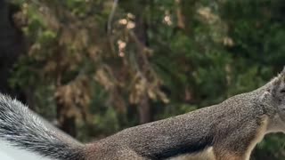 😂👋 Wait For The Ending... Awkward Greeting | FunFM