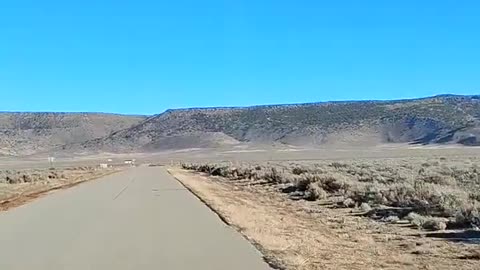 Shia, video recorded 4:36 PM Nov 24, '25 by Alyssa