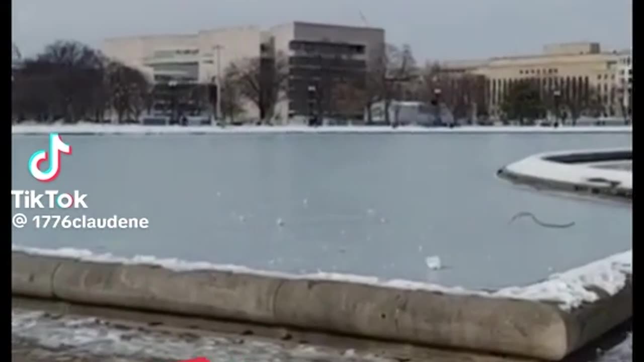 UPDATE IN DC WITH KELLY MARIE BRADY