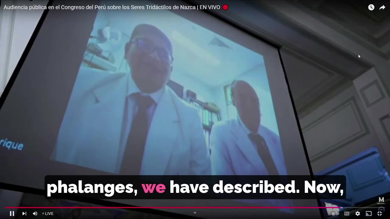 🩺💡 Ministry of Culture's Doctors Find No Manipulation in Maria's Case | TheTruthAbove