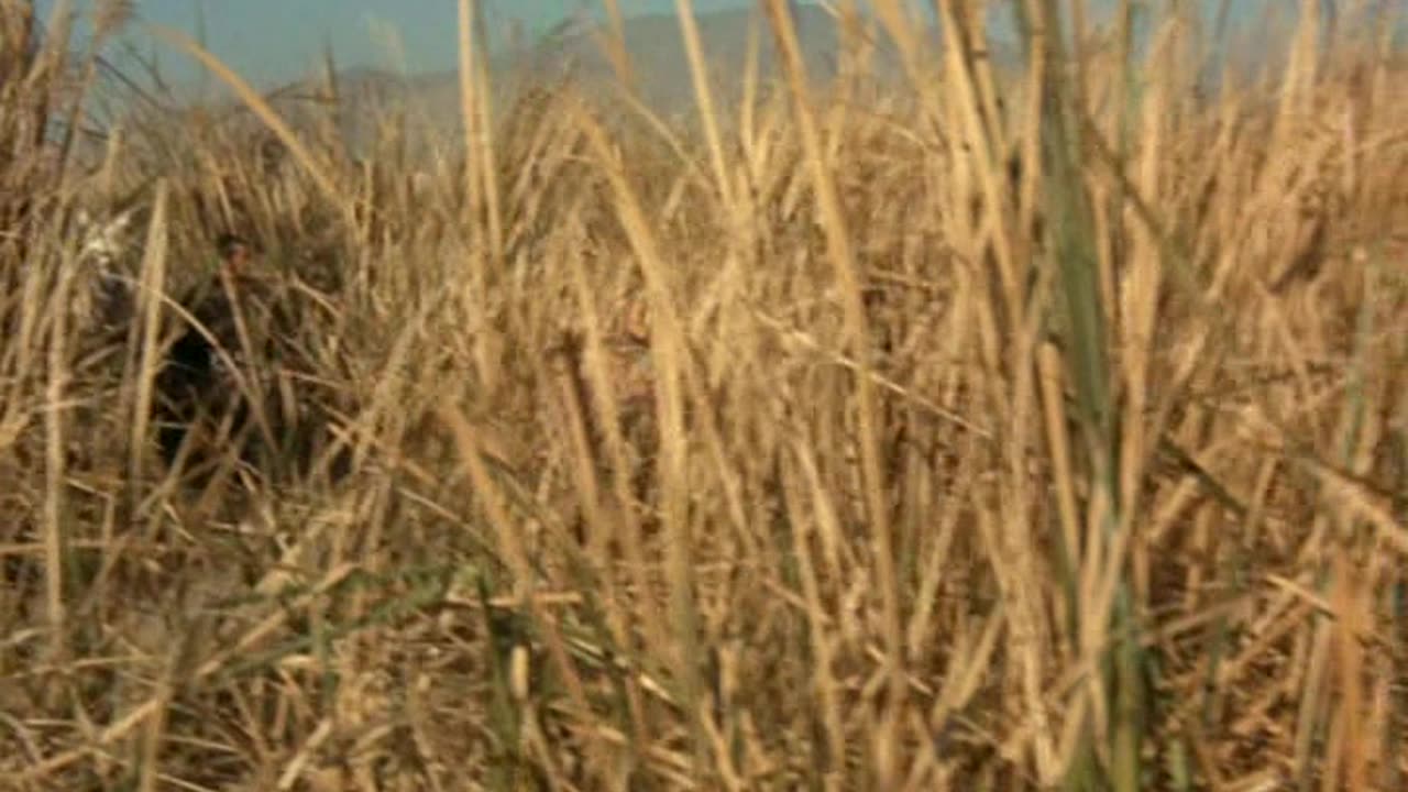 Samuraj i kowboje , Soleil rouge 1971