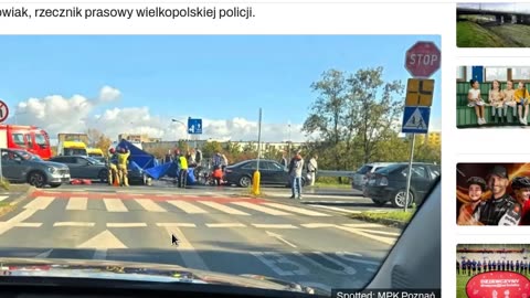 Owieczki drogowe - przepisy nie dla nas