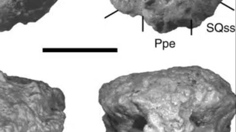 Amtocephale: The Oldest Dome-Headed Dinosaur