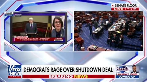 Democrats Are RAGING Over Schumers Govt Shutdown Deal