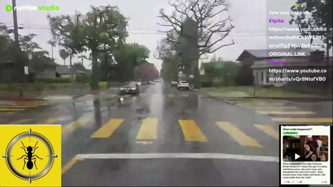 TWITCHTARD (pt 2 & 3) WITH A SIDE OF ANTRANT