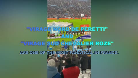 Olympique Marseille magnifique, splendid, superb, unique
