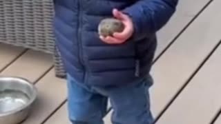 🤣📚 Kids Say the Darndest Things! Kid's Logic | FunFM