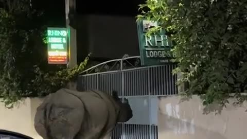 😱🤣 He Thought No One Was Watching... | FunFM