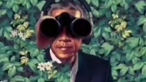 MAGA Devil dog memes 🔥🔥🇺🇸🇺🇸