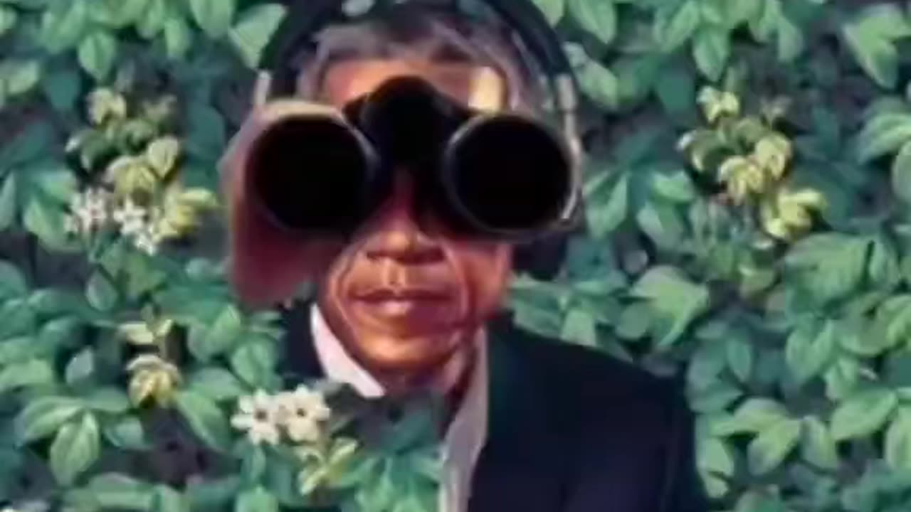 MAGA Devil dog memes 🔥🔥🇺🇸🇺🇸