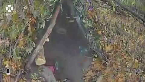 Border guards of the "Steel Border" destroyed 8 enemy shelters and at least 4 occupiers