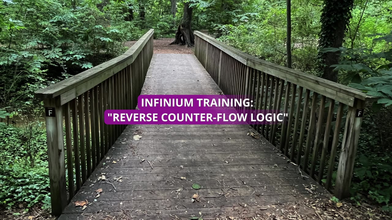 Infinium Training: "Reverse Counter-flow Logic" REDPILL/REDPILLTRUTHS/MGTOW/MGTOWTRUTHS