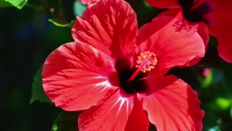 Let's live in the moment