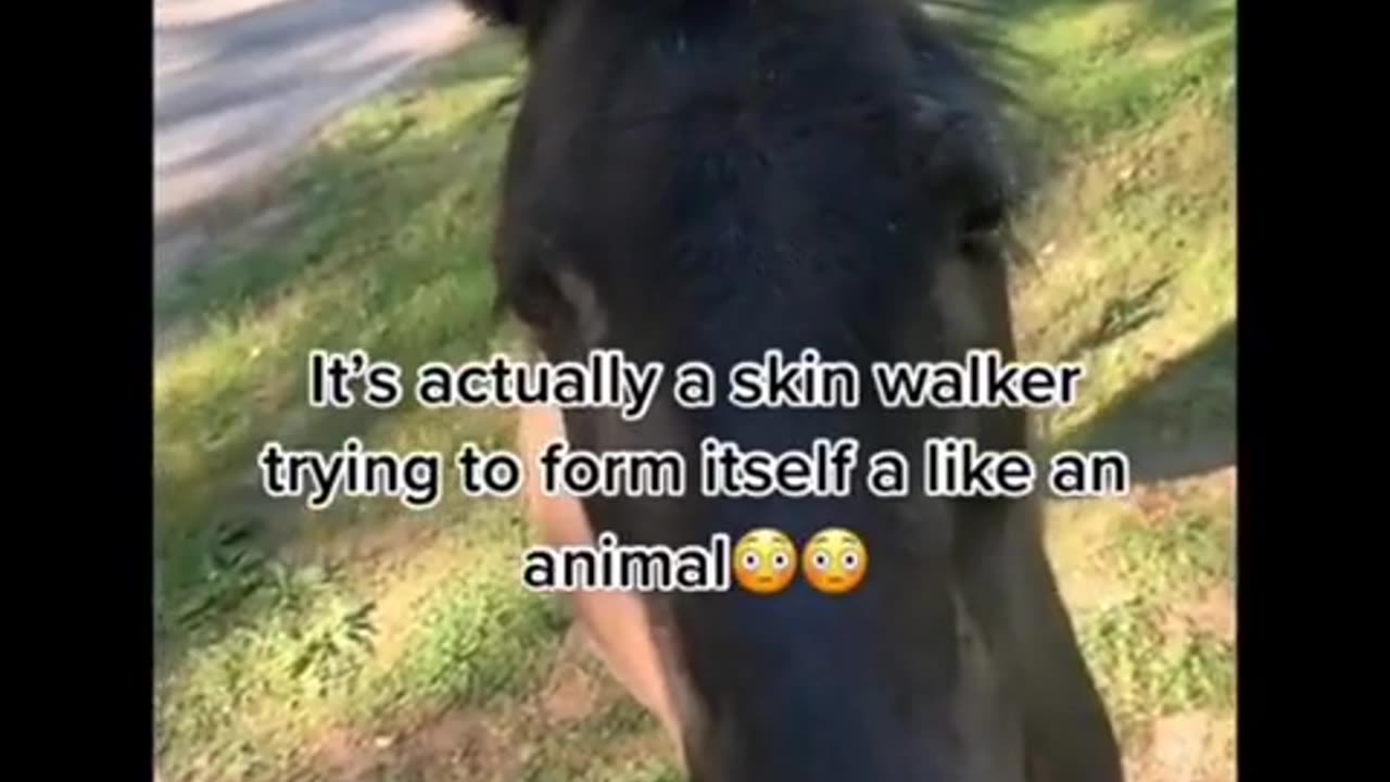 😨👀 Sooo, Explain This! | TheHauntingHour