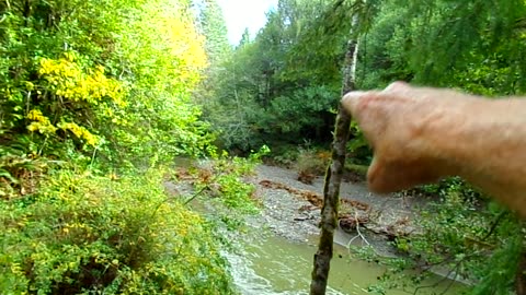 Out in the wilderness for a day 11/8/25: