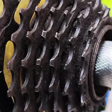 What extra part is on your bicycle?