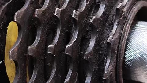 What extra part is on your bicycle?