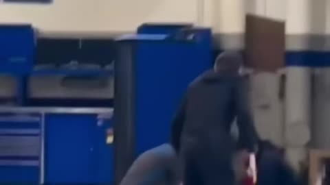 baby rabbit stuck in car engine