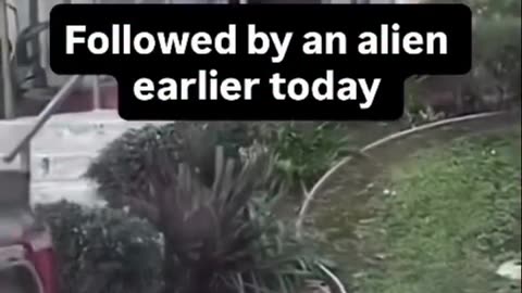 A man was driving when he suddenly noticed something strange...