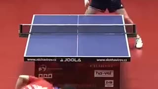 Incredible: Absolutely INSANE Table Tennis Defense from Yang Wang ! #tabletennis