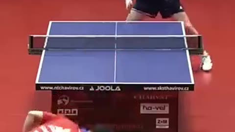 Incredible: Absolutely INSANE Table Tennis Defense from Yang Wang ! #tabletennis