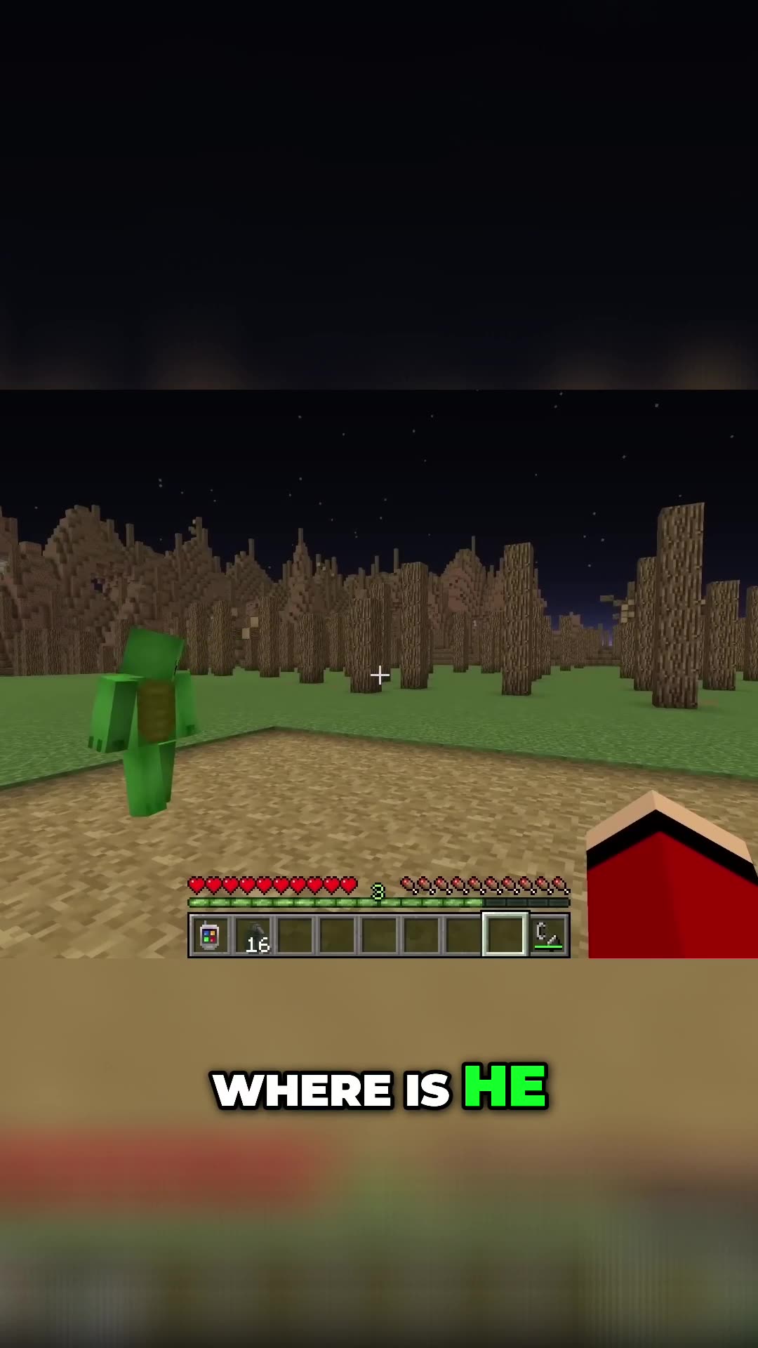 Fighting Herobrine: Our Ultimate Security Showdown!