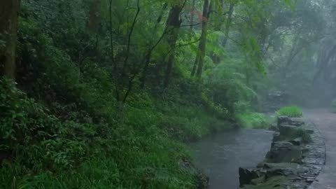 The sound of rain on mountain roads