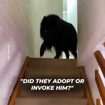 The Wolf and The Girl