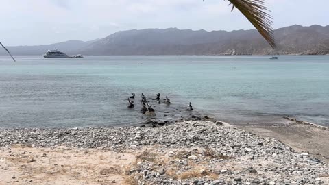 Creatine and Collagen: Supplements for Health and Performance