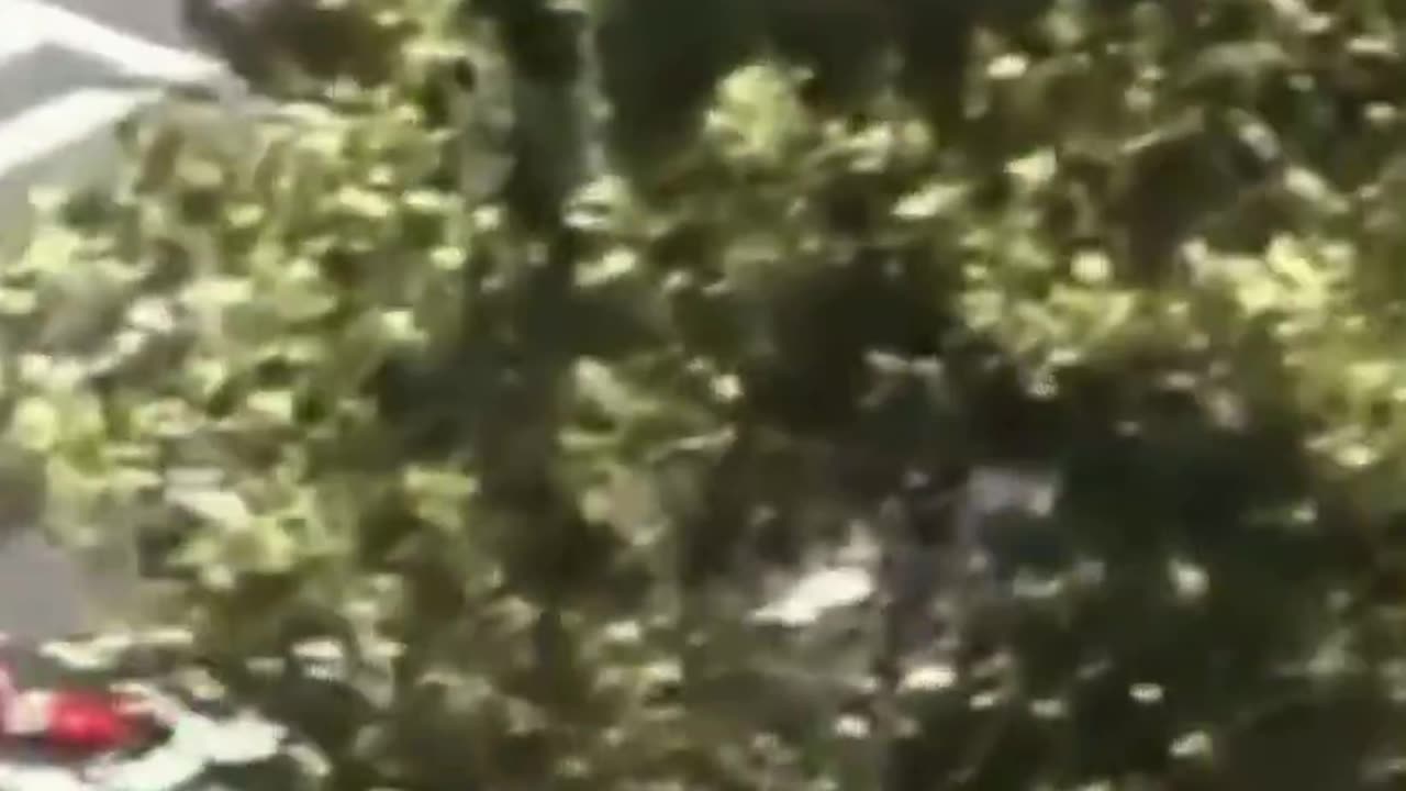 [RG911Team] What do you notice in this video?