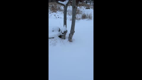 Mentální zdraví a hypnóza