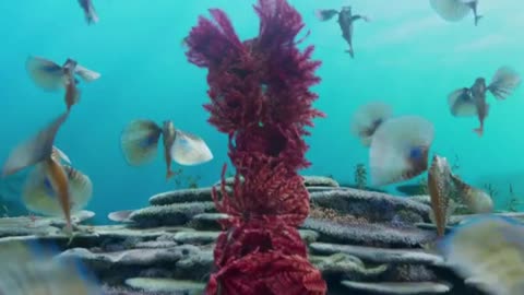 Ariel & Eric the little mermaid 2023 under the sea