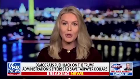 Elon Musk to dig into possible fraud