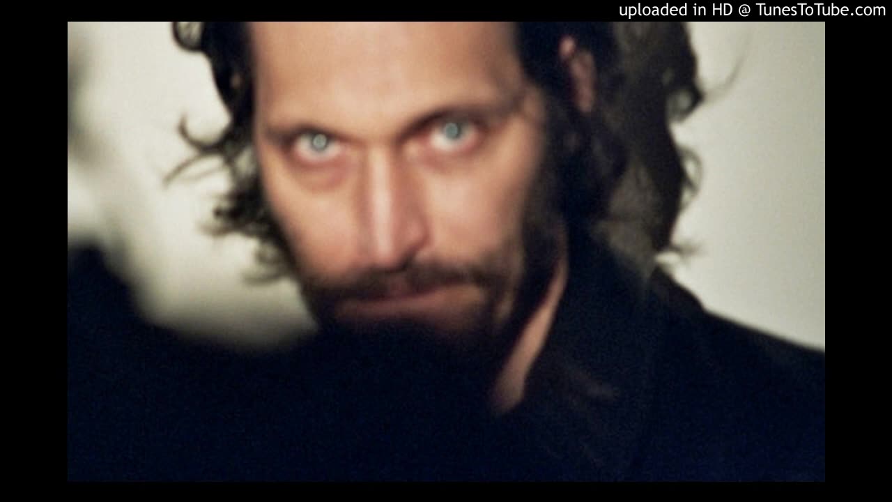 Vincent Gallo - No Regard